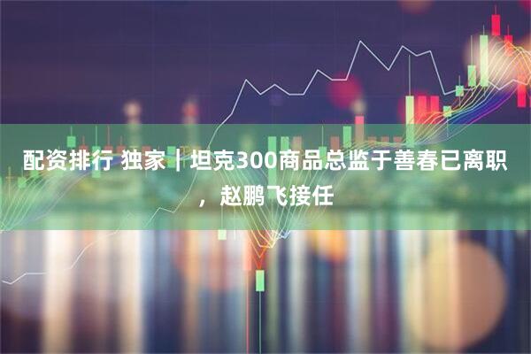 配资排行 独家｜坦克300商品总监于善春已离职，赵鹏飞接任