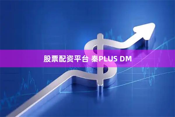 股票配资平台 秦PLUS DM
