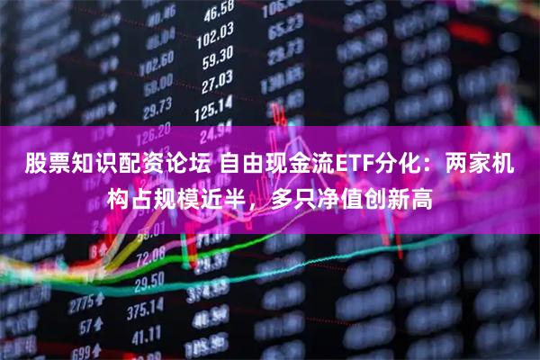 股票知识配资论坛 自由现金流ETF分化：两家机构占规模近半，多只净值创新高