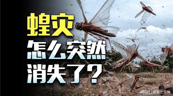 配资排行 肆虐中国千年的蝗灾，为什么消失了？